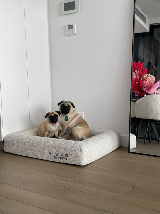 Memory Foam Dog Bed in Bouclé-1